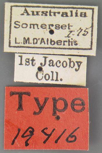 Media type: image; Entomology 19416   Aspect: labels